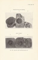 Item #10444 The Weathering of Natural Building Stones: Department of Scientific and Industrial Research Special Report No. 18: Building Research. Building Materials, R. J. Schaffer.