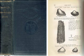 Item #12161 Geology of New Jersey; By Authority of the Legislature. Geology, George H. Cook