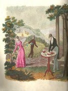 Item #13346 Les Papillons: Leur Histoire, la Manière de leur Faire la Chasse et de les...