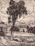 Item #1772 Lake Pastures. Lucioni, Luigi Lucioni, Italian