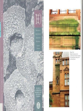Item #22787 Biological Growths on Sandstone Buildings; Control and Treatment. Stone, Sonja...