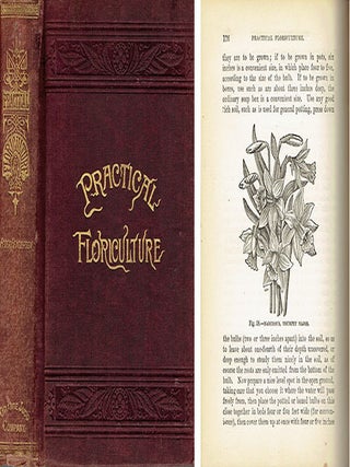 Practical Floriculture; a guide to the successful cultivation of florists' plants, for the...