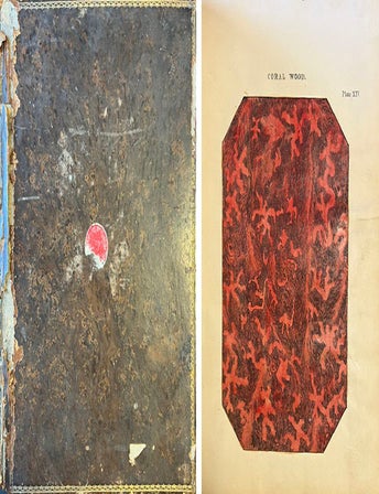 Item #23981 The Decorative Painters' and Glaziers' Guide; containing the Most Approved Methods of Imitating Oak, Mahogany, Maple, Rose, Cedar, Coral, and every other kind of Fancy Wood: Verd Antique, Dove, Sienna, Porphyry, White Veined, and other Marbles in Oil or Distemper Colour: Designs for Decorating Apartments, in accordance with the various styles of Architecture; with Directions for Stenciling, and process for Destroying Damp in Walls; also a Complete Body of Information on the Art of Staining and Painting on Glass; plans for the erection of Apparatus for Annealing it; and the Method of Joining Figures together by Leading, with Examples of Ancient Windows. Paint, Nathaniel Whittock.
