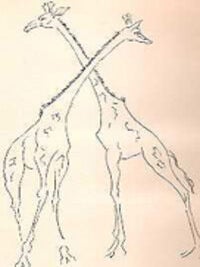 Item #3000 Exotische Tiergeschichten. Animals, Kasimir Edschmid