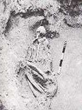 Item #3114 Tikal Reports Numbers 1-4. Anthropology, Edwin M. Shook, William R. Coe, Vivian L....